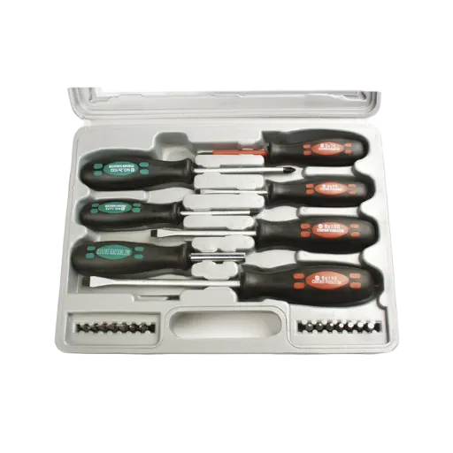 21pcs Screwdriver & Bit Set CR-V in Plastic Case