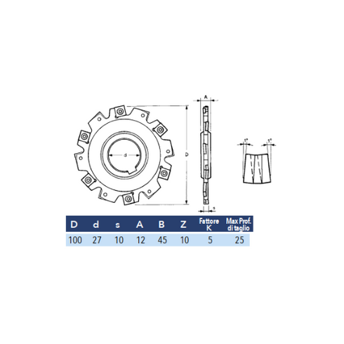 Disc with Interchangeable Inserts Φ100 x 10mm Dimensions