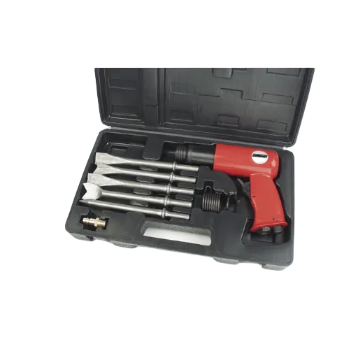 Pneumatic Chipping Hammer with 5 Chisels, 6–7 bar, 3000/min in Case
