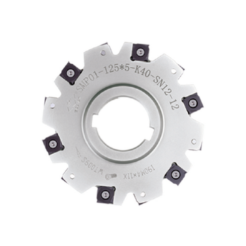 Slot Milling Cutter SMP01 (Ø100 – 250 mm)